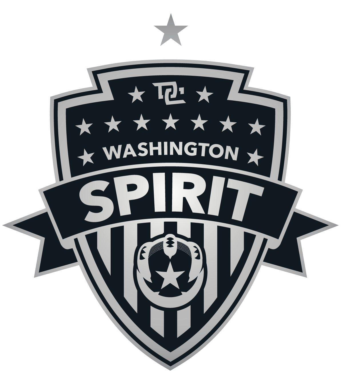 Washington Spirit chrome and black crest